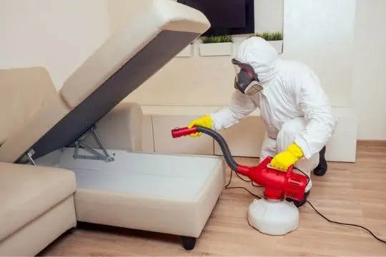 bed bug extermination service in peterborough