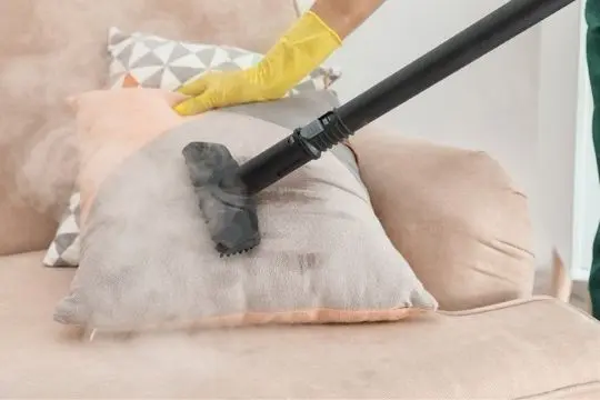 bed bug treatment using heat steam treatment in peterborough area